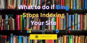 A picture of a wall of books. The text "What to do if Bing stops indexing your site" is over it with the comebefound logo.